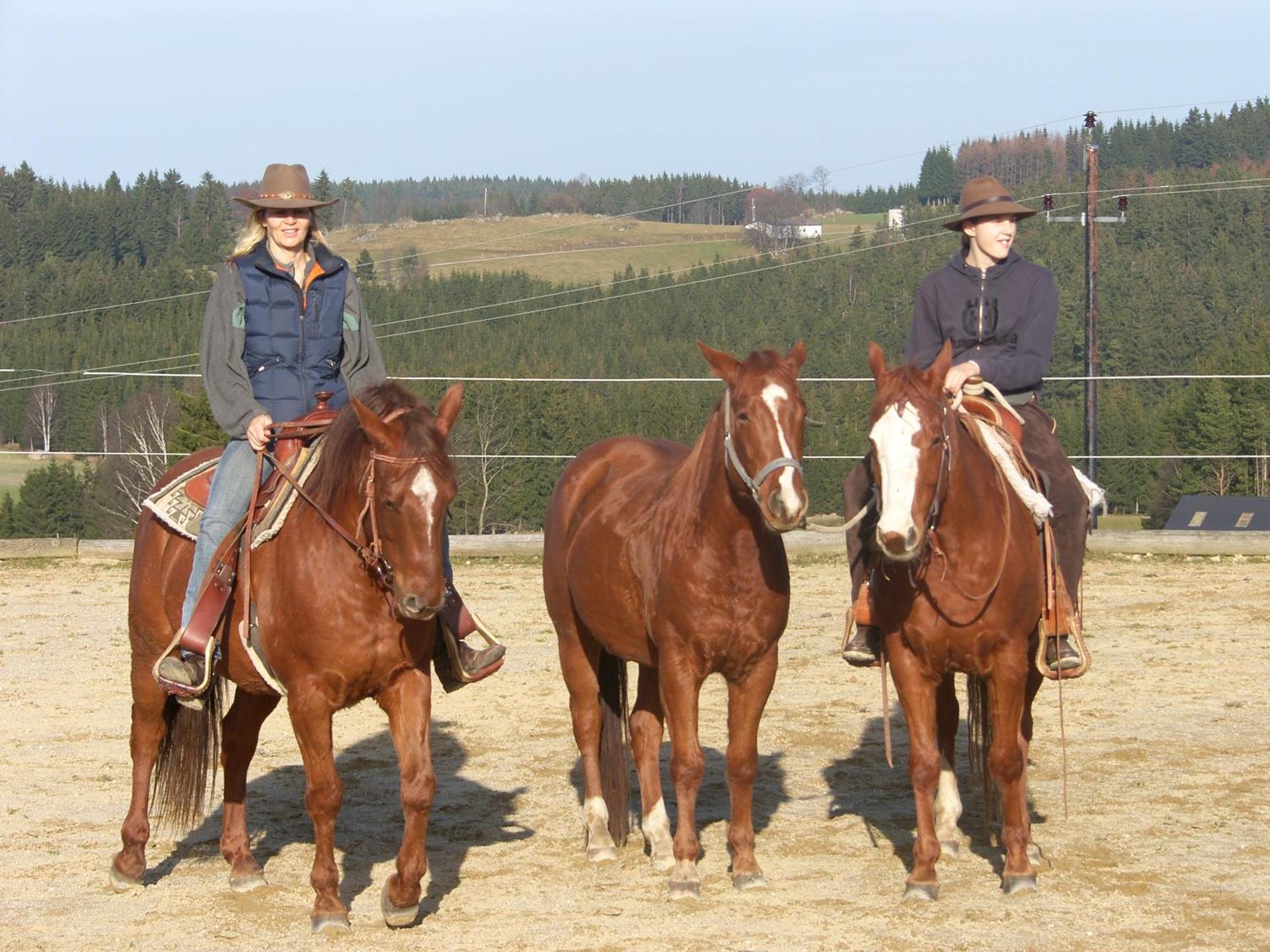 ליבנאו Espi-Stables Ferienhof Esterhammer מראה חיצוני תמונה