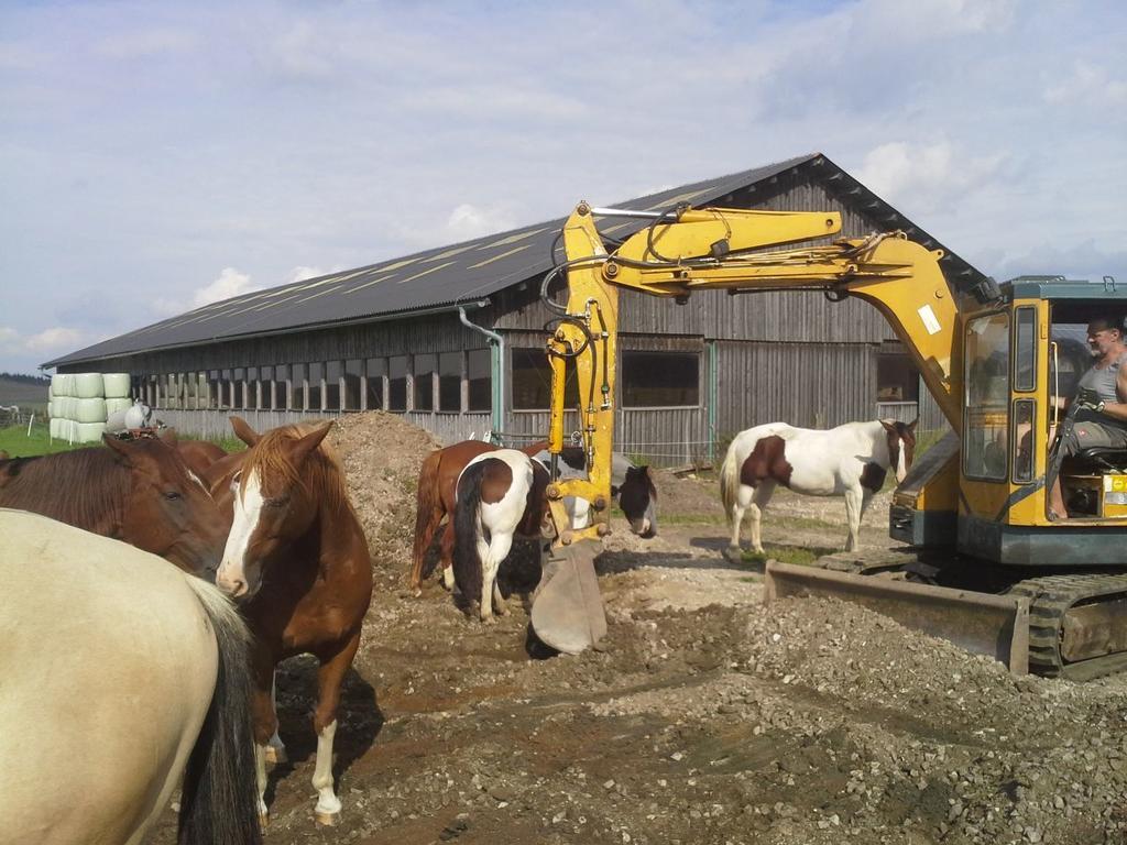 ליבנאו Espi-Stables Ferienhof Esterhammer מראה חיצוני תמונה