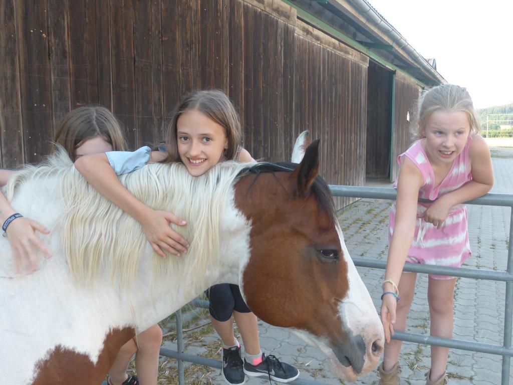 ליבנאו Espi-Stables Ferienhof Esterhammer מראה חיצוני תמונה