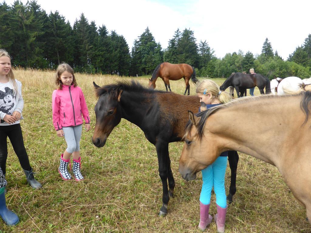 ליבנאו Espi-Stables Ferienhof Esterhammer חדר תמונה