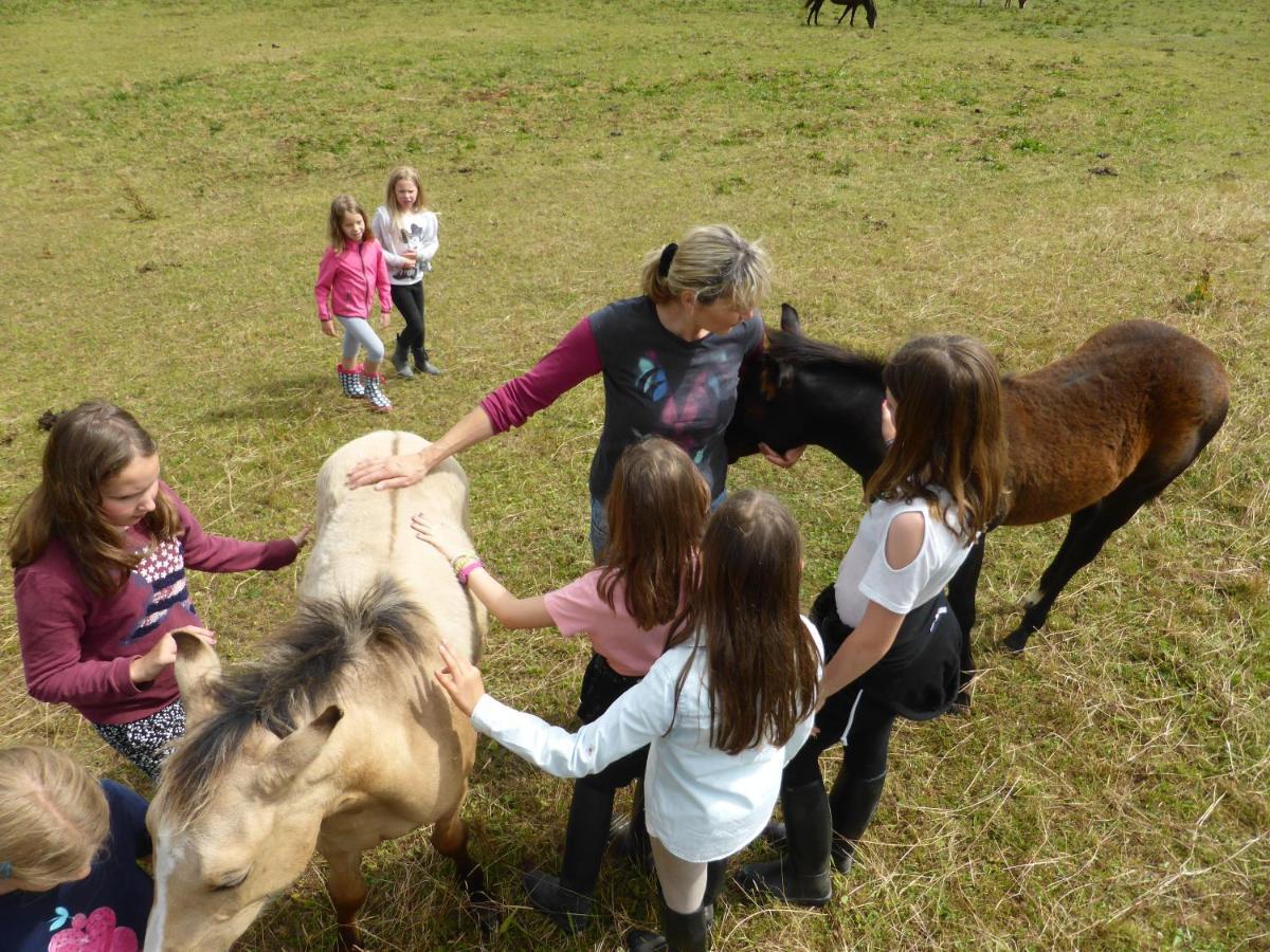 ליבנאו Espi-Stables Ferienhof Esterhammer מראה חיצוני תמונה
